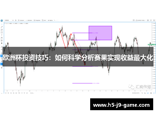 欧洲杯投资技巧:如何科学分析赛果实现收益最大化 欧洲杯投资技巧:如何科学分析赛果实现收益最大化