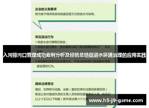 入河排污口管理成功案例分析及经验总结促进水环境治理的应用实践
