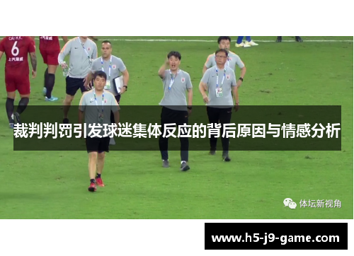 裁判判罚引发球迷集体反应的背后原因与情感分析