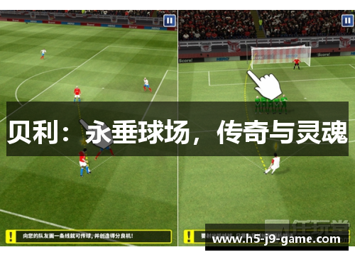 贝利:永垂球场,传奇与灵魂 贝利:永垂球场,传奇与灵魂