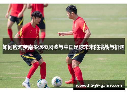 如何应对费南多退役风波与中国足球未来的挑战与机遇 如何应对费南多退役风波与中国足球未来的挑战与机遇